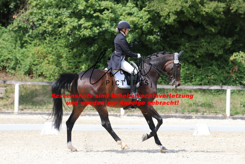 IMG_7236 | lmwpictures - Realisiert mit Pictrs.com