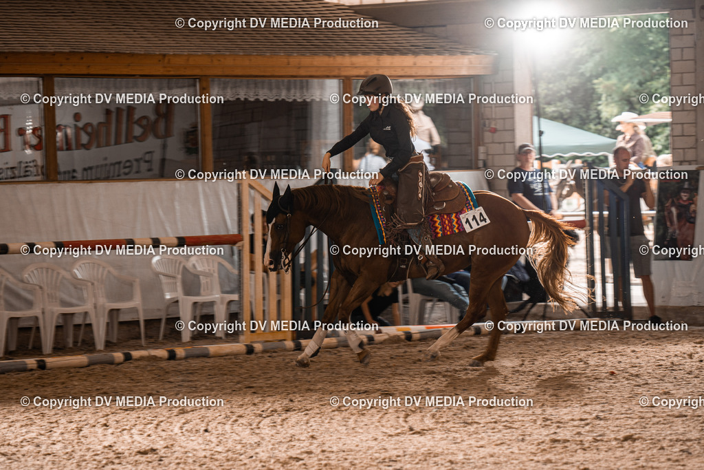 ZH300259 | dv-media-shop - Realisiert mit Pictrs.com