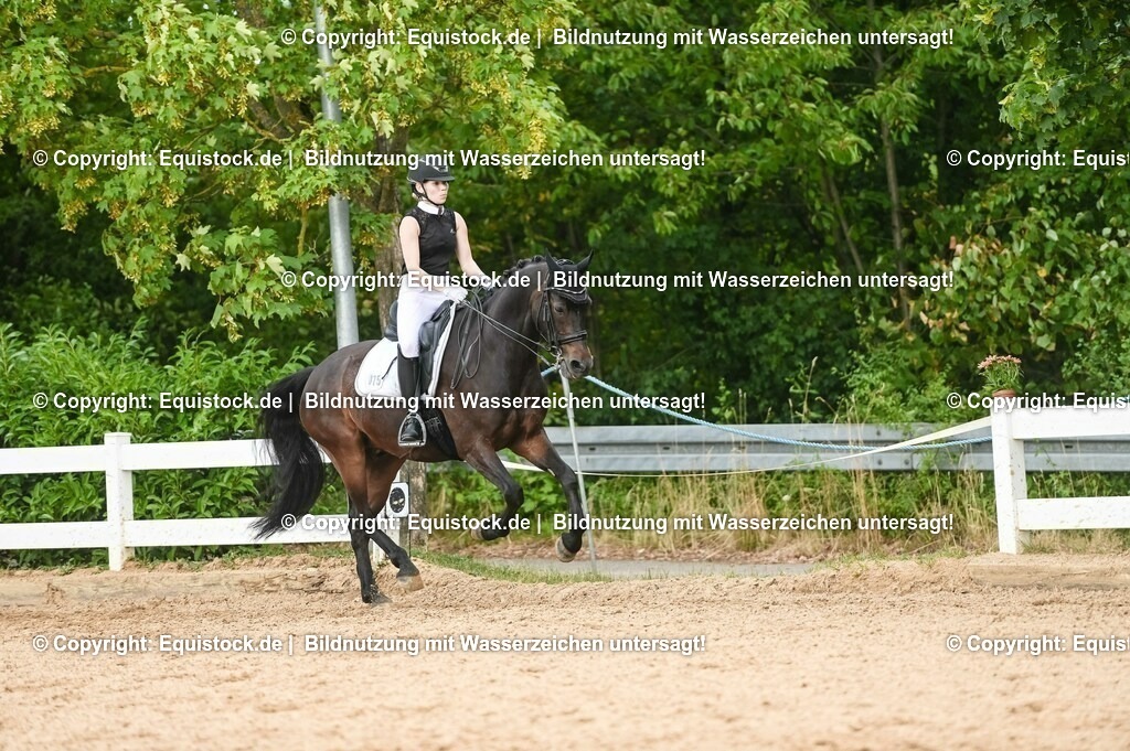 20230716_01_Dressurprüfung Kl.M_0469 | equistock