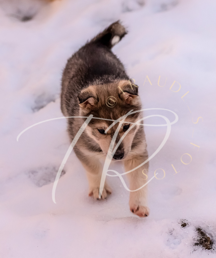 6D3E3963-8B5B-4F29-BF11-F704B67723A8 | traudl_s_fotos