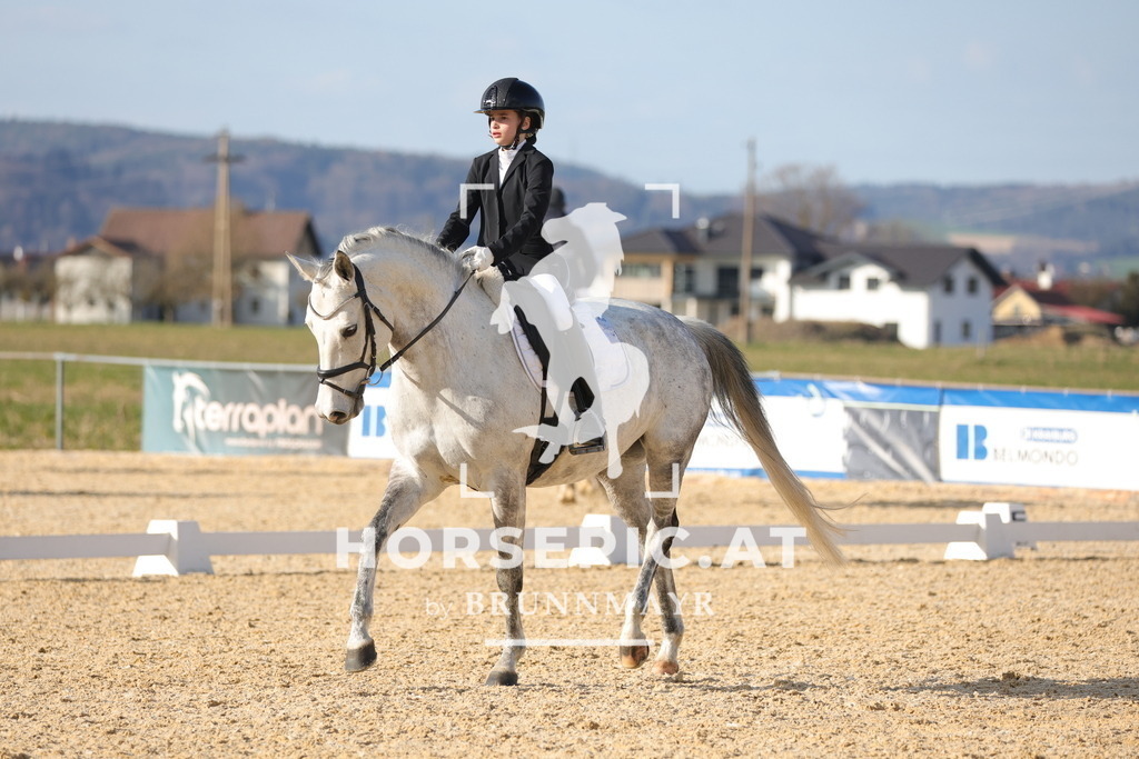 0P6A7941 | Willkommen bei Brunnmayr - Design & Fotografie – Ihrem Spezialisten für Reitturniere und Pferdeveranstaltungen in Oberösterreich, Salzburg und Bayern! Seit über 17 Jahren sind wir leidenschaftlich dabei.