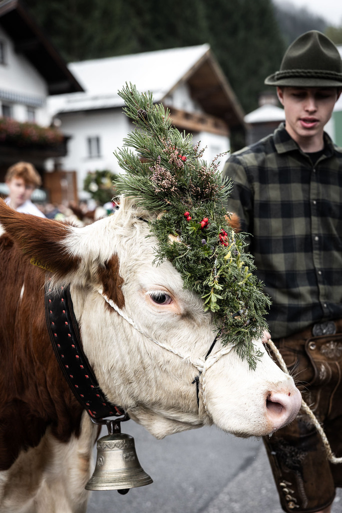 Rupertifest_Flachau_2k25_Webauflösung-165 | Bildershop Chri Fischbacher - Realisiert mit Pictrs.com