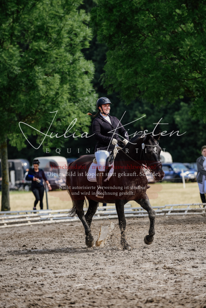 DSC_0250 | Pferde- und Turnierfotografie in Westsachsen. Pferdeportraits, Auftragszeichnungen und intuitive Kunst.