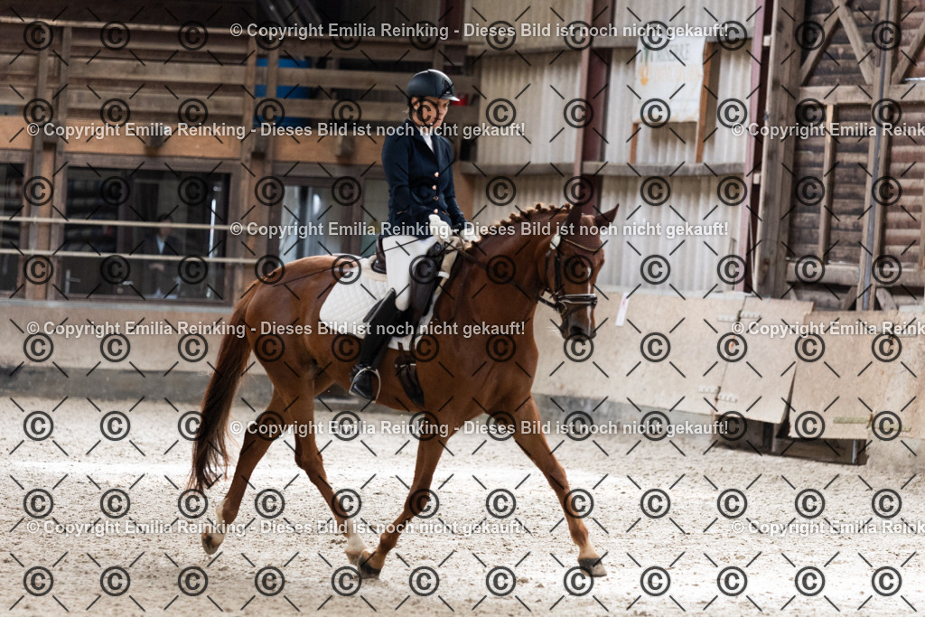 CL5A1261 | Emilia Reinking Fotografie - Realisiert mit Pictrs.com