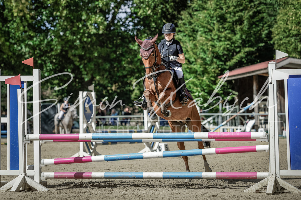 20250906-_3LI6446 | Tierfotografie Pferde, Hunde, Katzen, Haustiere.
Turnierfotografie Reitturniere, Reiten, Springreiten, Dressur in Hanau, dem Main-Kinzig-Kreis und dem Rhein-Main- Gebiet um Frankfurt