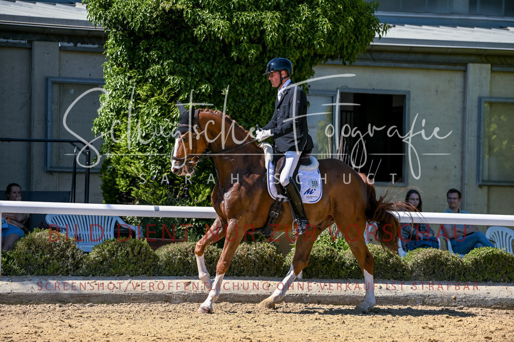 Schugtsche-Aluta25-50.Dressurpferdeprf.L-20 | Schugtsche Fotografie - Realisiert mit Pictrs.com