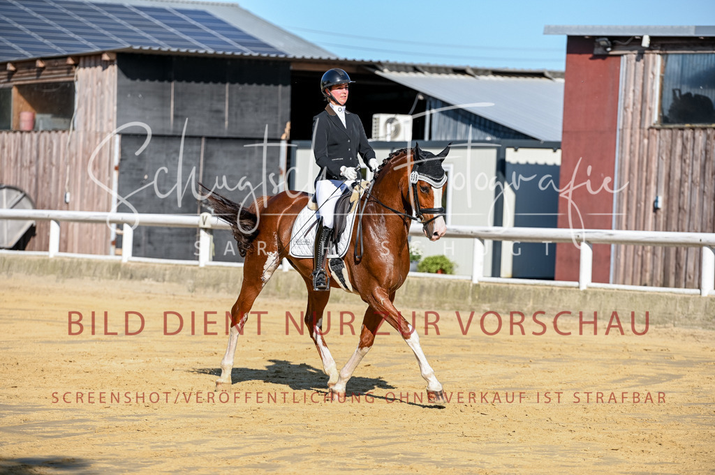Schugtsche-Aluta25-51.Dressurpferdeprf.M-54 | Schugtsche Fotografie - Realizzato con Pictrs.com