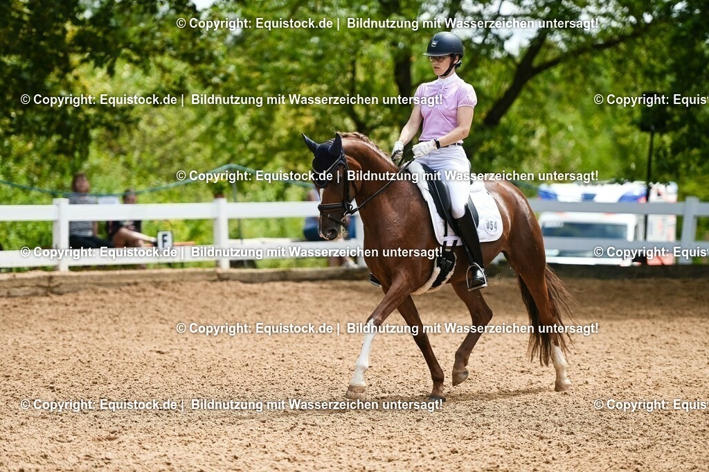 20230716_03_Dressurprfg. Kl.L - Tr._0237 | equistock