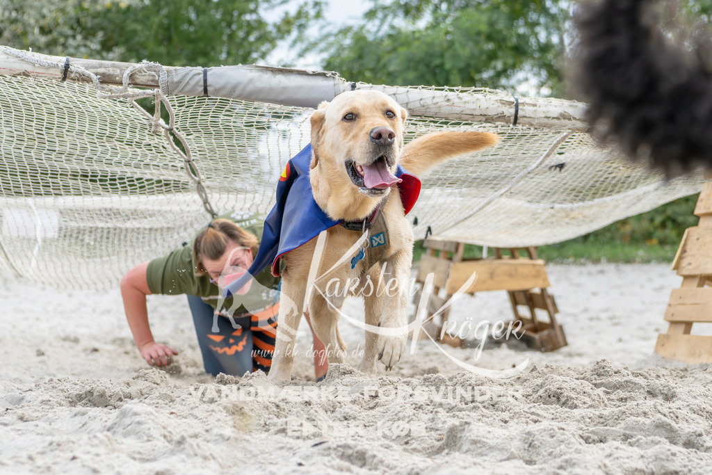 1507_ZZ93152 | kk-dogfotos