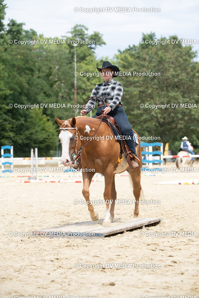 ZS2_8194 | dv-media-shop - Realisiert mit Pictrs.com