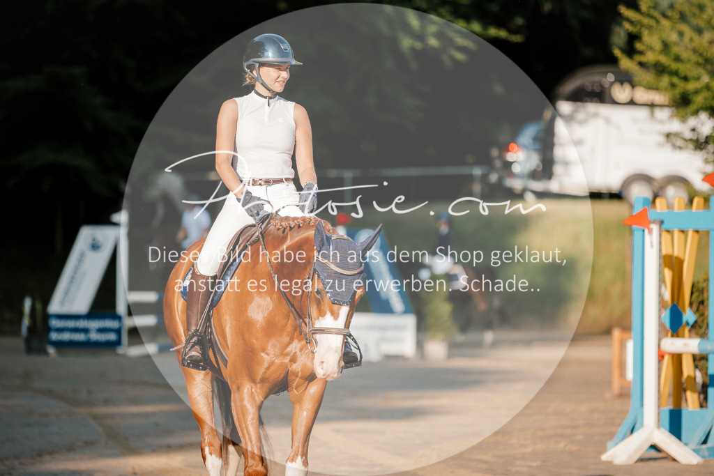 3I6A6002 | Stimmungsvolle Portraits und Reitsportfotografie im Ruhrgebiet und im Münsterland.

Pferdefotografie, Hundefotografie, Tierfotografie, Reportagen, Portraits von Tier und Mensch, Turnierfotografie in Bochum, Recklinghausen, Marl, Haltern am See, Dülmen.. - Realisiert mit Pictrs.com