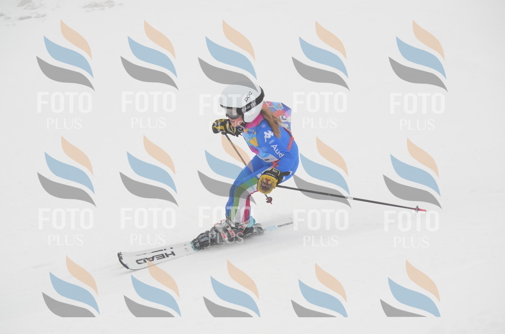 C1288 | holidayphoto