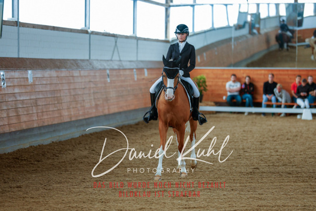 _62_5197 | Turniersportfotografie; Pferdefotografie; Dressurfotografie