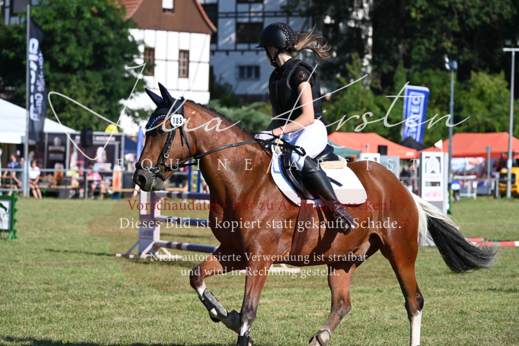 DSC_5348 | Pferde- und Turnierfotografie in Westsachsen. Pferdeportraits, Auftragszeichnungen und intuitive Kunst.