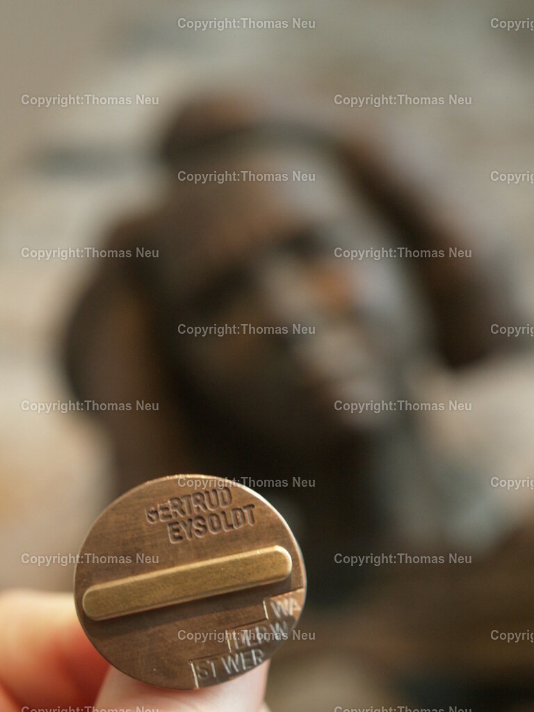 file001355 | Hochwertige Fotografien aus Bensheim, der hessischen Bergstraße und dem Odenwald. Stadtansichten, Landschaften und historische Motive von Fotograf Thomas Neu- als Datei und Print erhältlich