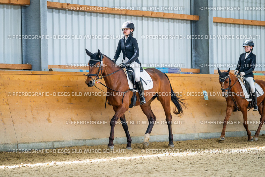 DSC03659 | Pferdegrafie