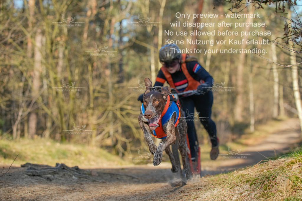 Sa_Scooter-217 | stephaniefillaphotographie - Realisiert mit Pictrs.com