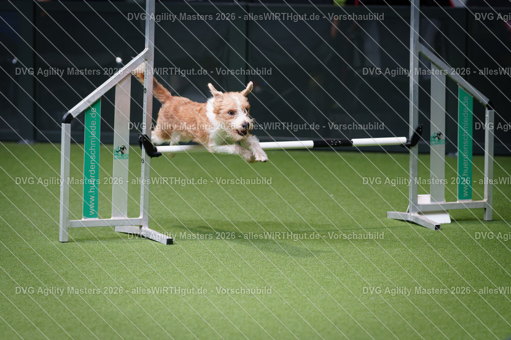 allesWIRTHgut_Tierfotografie-DVG_Agility_Masters_2026-11_20-7R505662 | Professionelle Tierfotografie in Mönchengladbach von Daniel Wirth (allesWIRTHgut). Liebevolle & natürliche Bilder von Hunden & Katzen für unvergessliche Erinnerungen.