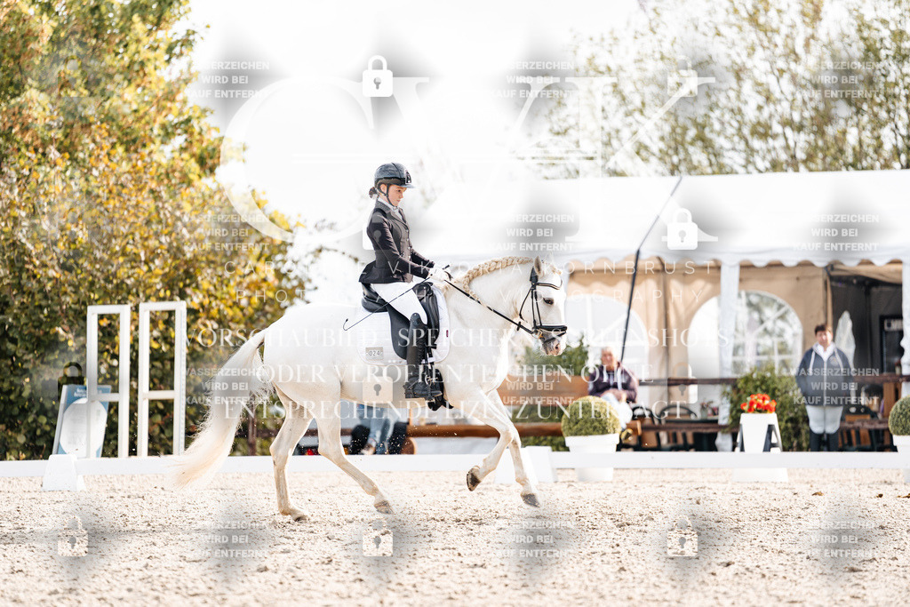 CK901224 | Turnierfotografie Pferdefotografie Trier Rheinland-Pfalz Pferdesport Reitsport Tierfotografie Sportfotografie Pferdevideo Pferdevideografie Equestrianvideography equestrianphotography  - Realisiert mit Pictrs.com