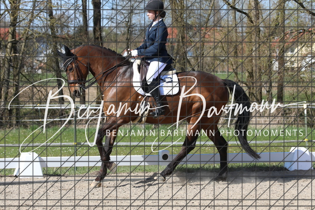 AZ2A4916 | Benjamin Bartmann Photomoments