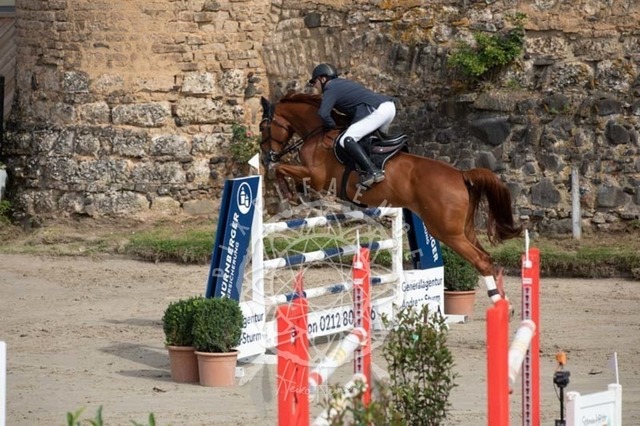 2B4A1236 | pixelfaenger - Realisiert mit Pictrs.com