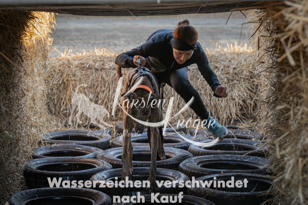 0912_ZZ91944-Verbessert-RR | kk-dogfotos
