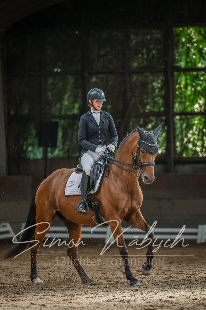 20250621-_3LI0099 | Tierfotografie Pferde, Hunde, Katzen, Haustiere.
Turnierfotografie Reitturniere, Reiten, Springreiten, Dressur in Hanau, dem Main-Kinzig-Kreis und dem Rhein-Main- Gebiet um Frankfurt