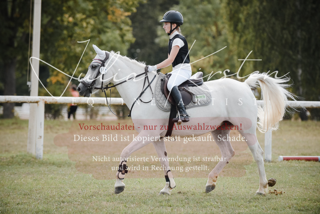 DSC_5534 | Pferde- und Turnierfotografie in Westsachsen. Pferdeportraits, Auftragszeichnungen und intuitive Kunst.
