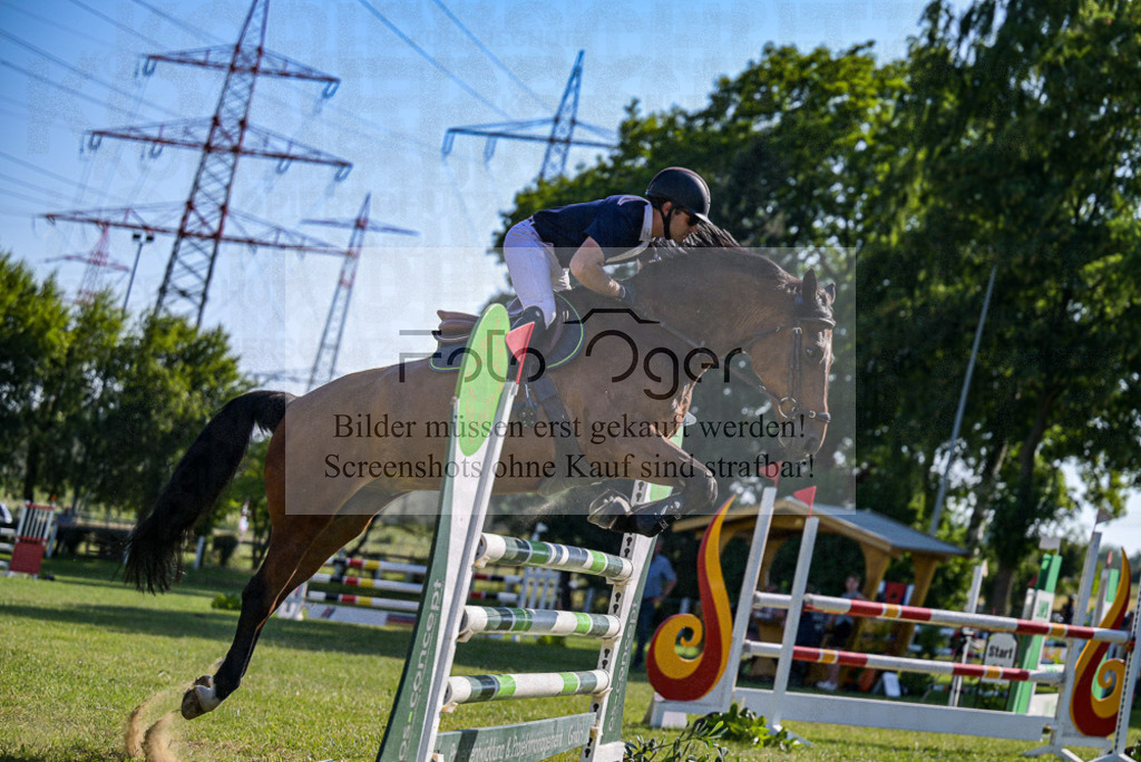 Reitturnier Voxtrup | Entdecke hochwertige Reitturnierfotos von Foto Oger. Professionell, emotional und authentisch – jetzt Lieblingsmomente im Shop bestellen.Deutschlandweite Turnierfotografie. - Realisiert mit Pictrs.com