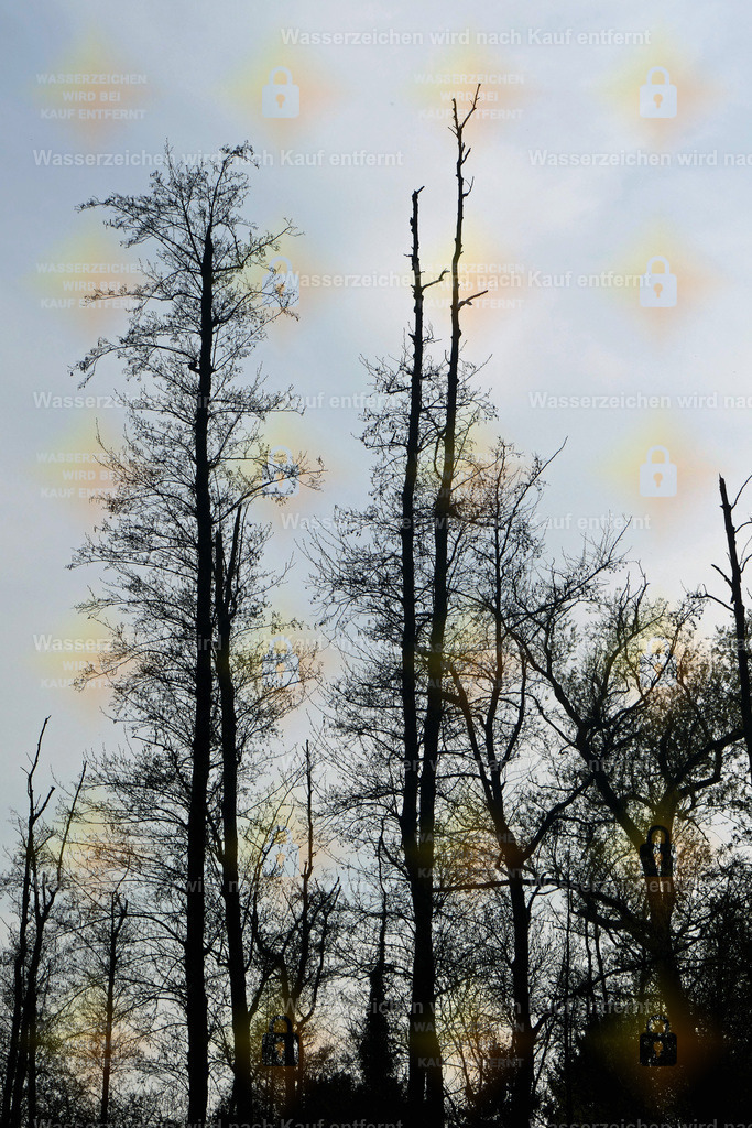 P1100858 | Fotoseite Wolkenblende - Das Hobby fotografieren begleitet mich schon  viele  Jahre. Auf den nächsten Seiten zeige ich ein paar Schnappschüsse der letzten Jahre und es kommen immer neue hinzu. Schau einfach mal rein. - Realisiert mit Pictrs.com