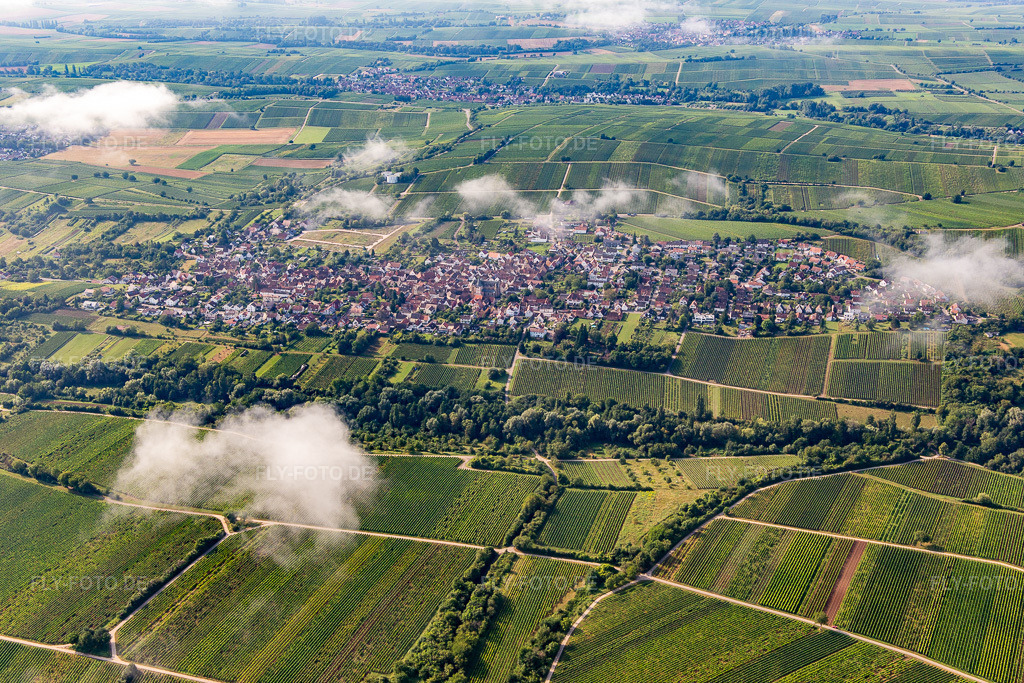 Luftbild: Ortschaft von Norden unter Wolken im Ortsteil Arzheim in Landau im Bundesland Rheinland-Pfalz in Deutschland. Foto: IMG_142977.jpg vom 03.08.2024 durch Werner Riehm/FLY-FOTO.de