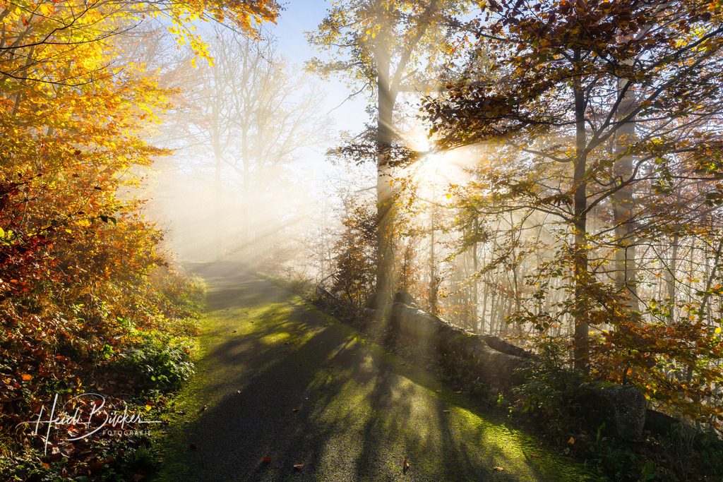 November | Bilder und Impressionen zu jeder Jahreszeit aus dem Sauerland im Naturpark Sauerland-Rothaargebirge - Realisiert mit Pictrs.com