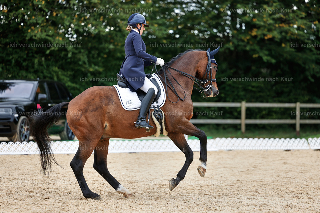 11-036-Dressur S___-StoibPH-1439 | working equitationturnier fotograf videograf stoibphotography marixx film working equitation deutschland reitsport turnierfotografie eventfotografie equestrian events