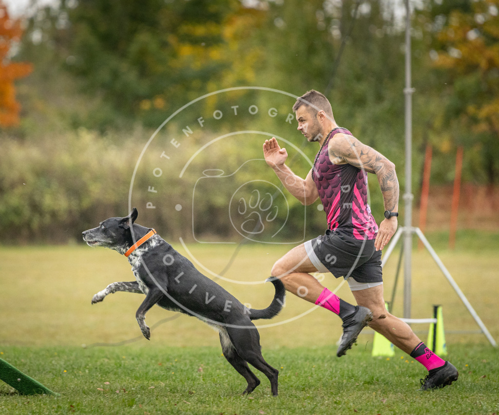 Pfotenfotografie_DV3A0275 | Hundefotografie, Tierfotograf, Pfotenfotografie, Fotoshooting Hund, Hunde Portrait, Hundesport, Hundeportraits, Heideshooting, Hunde, Sportfotograf, Hundefotograf, Turnierhundsport, THS,  - Realisiert mit Pictrs.com