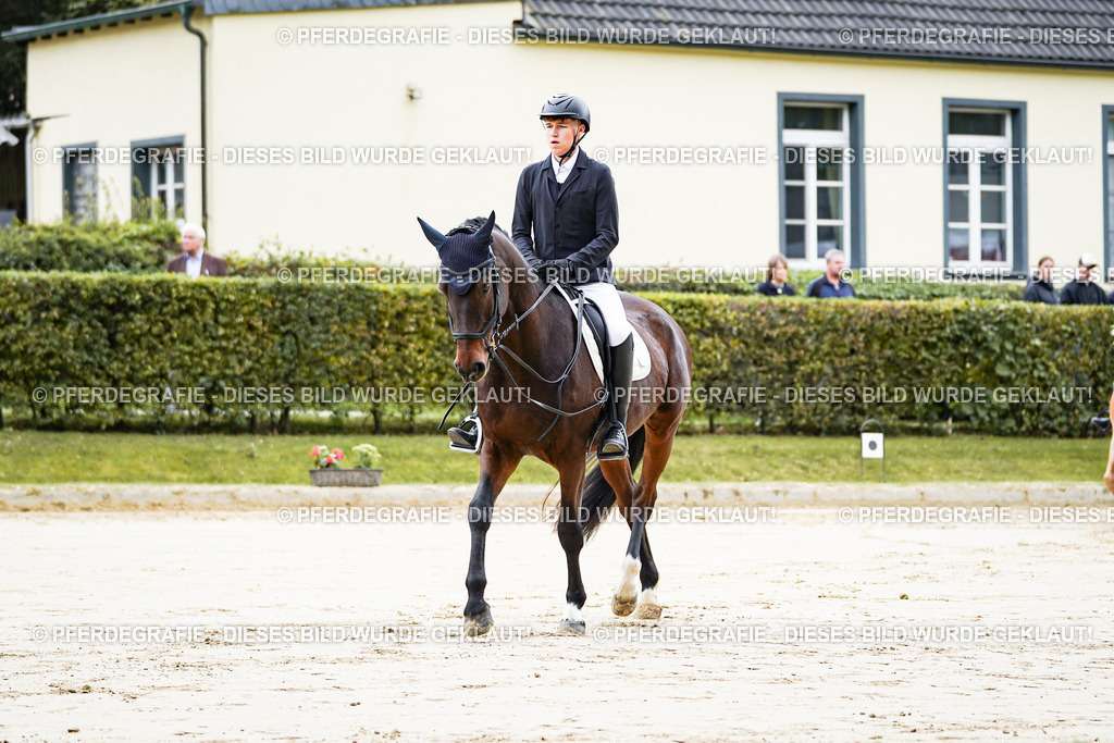 DSC04422 | Pferdegrafie