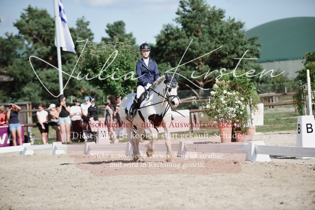 DSC_0147 | Pferde- und Turnierfotografie in Westsachsen. Pferdeportraits, Auftragszeichnungen und intuitive Kunst.