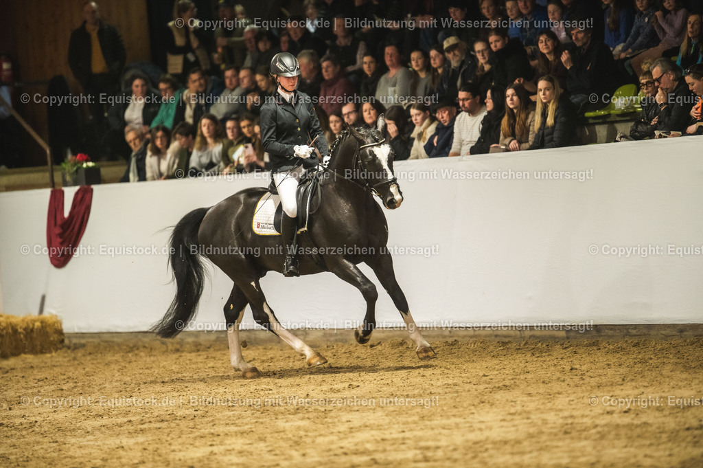 20240302_Hengstvorstellung_Marbach_TOMsPiC_0722 | equistock