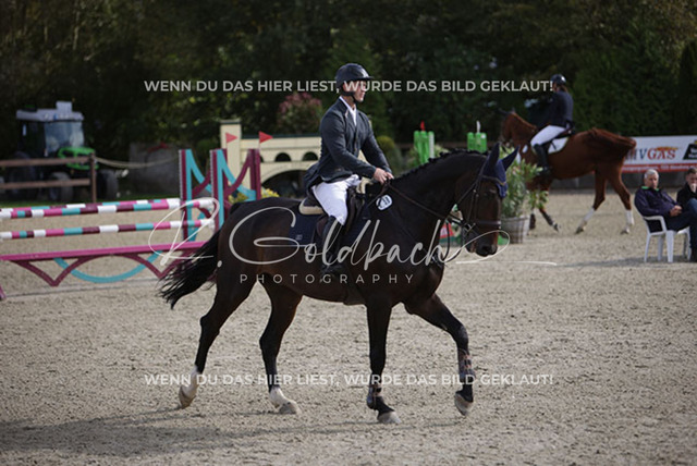 1J2A7743Cedric Becat_ Bismarck von der Streem_ Kn058_ Havekost | Foto- und Videografie für alles rund ums Pferd. Hochwertige Bilder und Videos vom Spring- und Dressurreiten, Voltigieren & mehr. Jetzt aktuelle Veranstaltungen und Preise im Shop ansehen. - Realisiert mit Pictrs.com