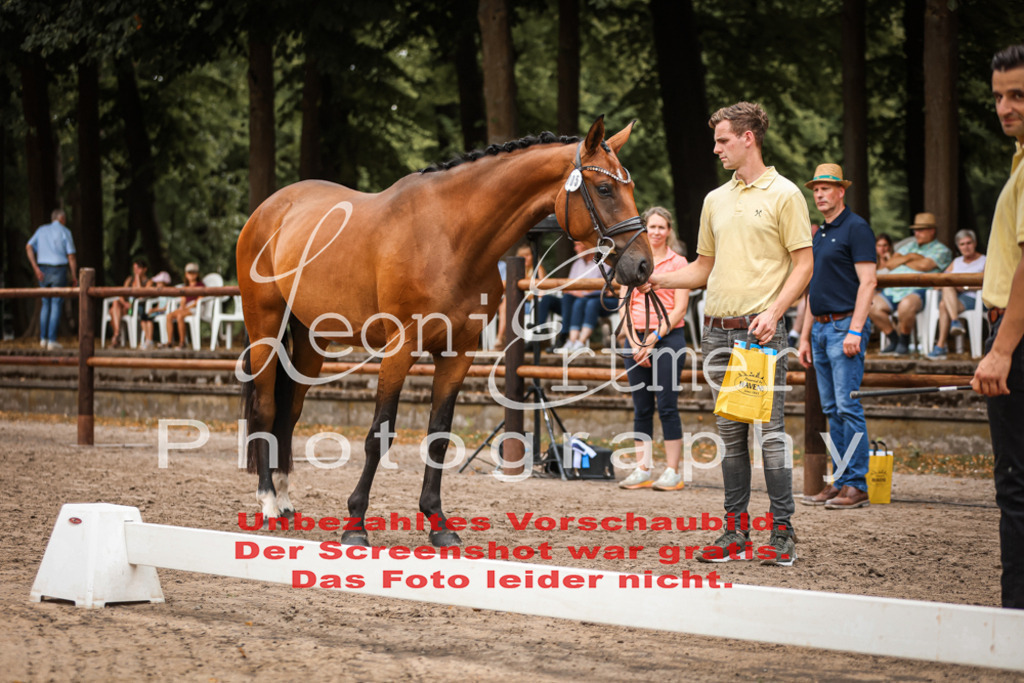 Do2.R00093 | Leoni Ertmer Photography - Realisiert mit Pictrs.com