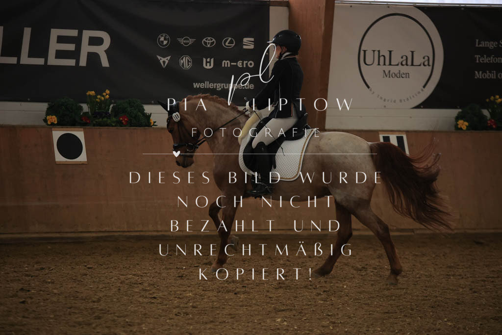 IMGT9374 | pl-fotografie