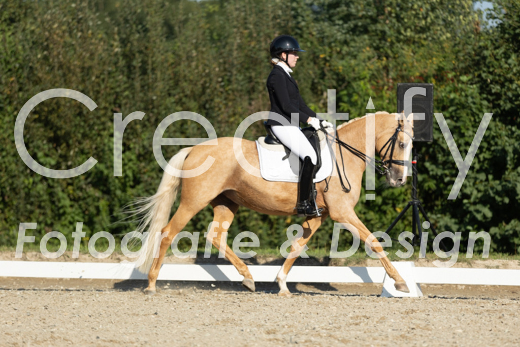 IMG_0937 | Creatify Fotografie