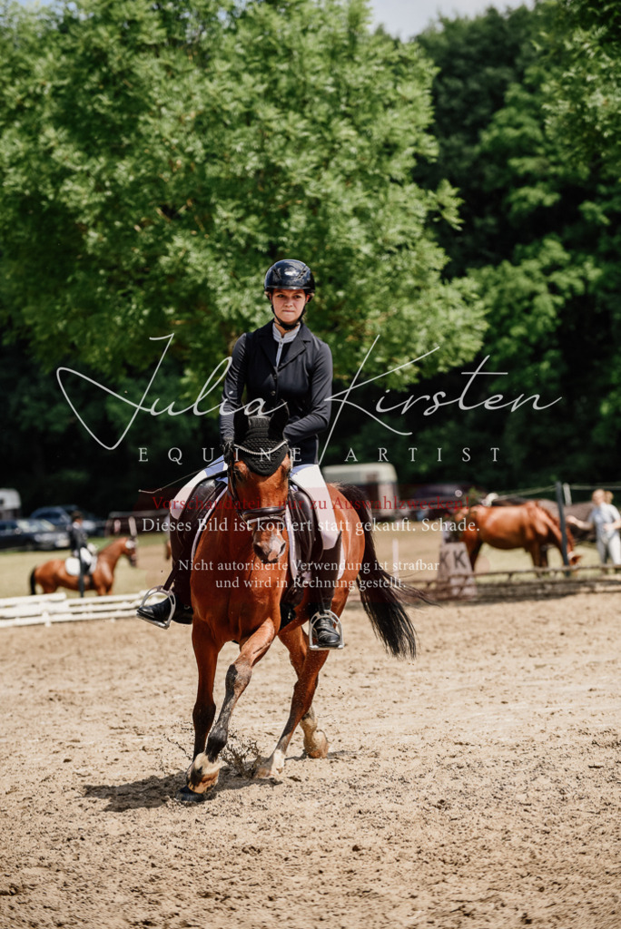 DSC_1760 | Pferde- und Turnierfotografie in Westsachsen. Pferdeportraits, Auftragszeichnungen und intuitive Kunst.