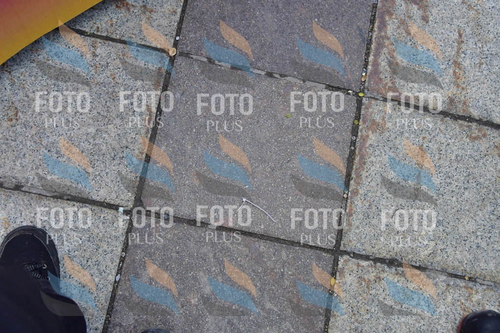 _DSC1696 | holidayphoto