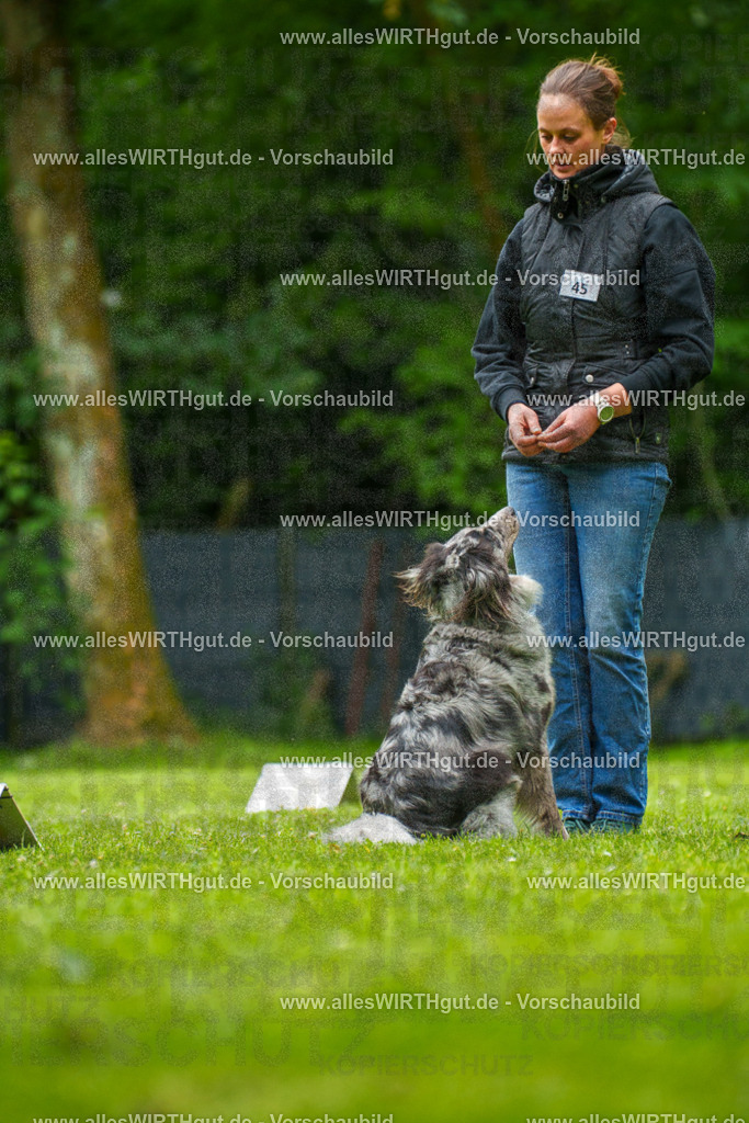@allesWIRTHgut_Tierfotografie - www.allesWIRTHgut.de - 7R500319 | Professionelle Tierfotografie in Mönchengladbach von Daniel Wirth (allesWIRTHgut). Liebevolle & natürliche Bilder von Hunden & Katzen für unvergessliche Erinnerungen.