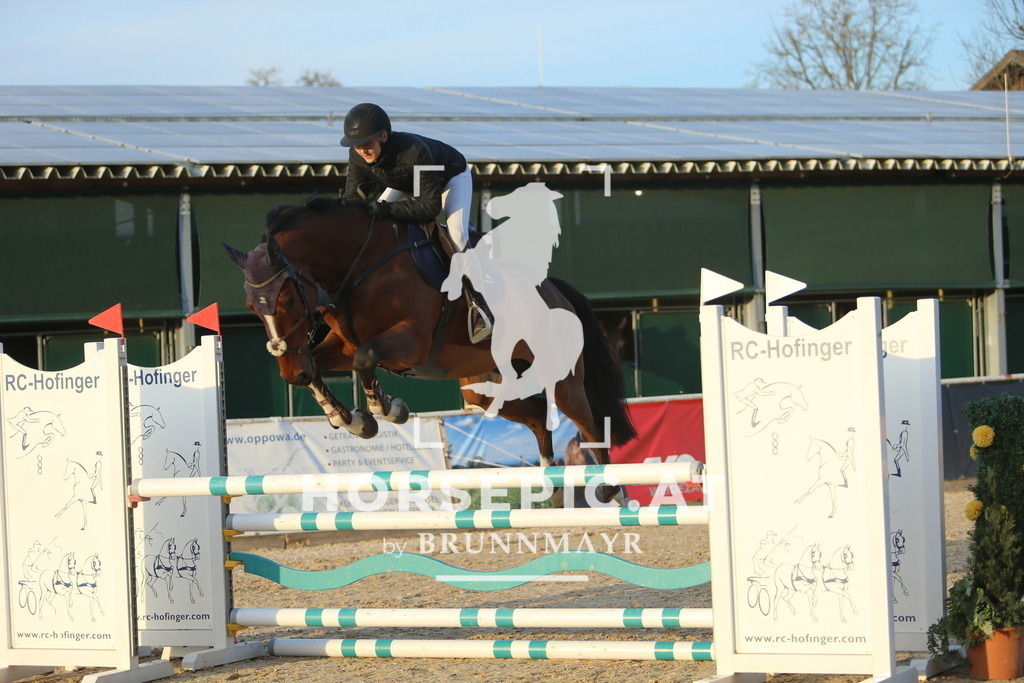 DL2Q4653 | Willkommen bei Brunnmayr - Design & Fotografie – Ihrem Spezialisten für Reitturniere und Pferdeveranstaltungen in Oberösterreich, Salzburg und Bayern! Seit über 17 Jahren sind wir leidenschaftlich dabei.