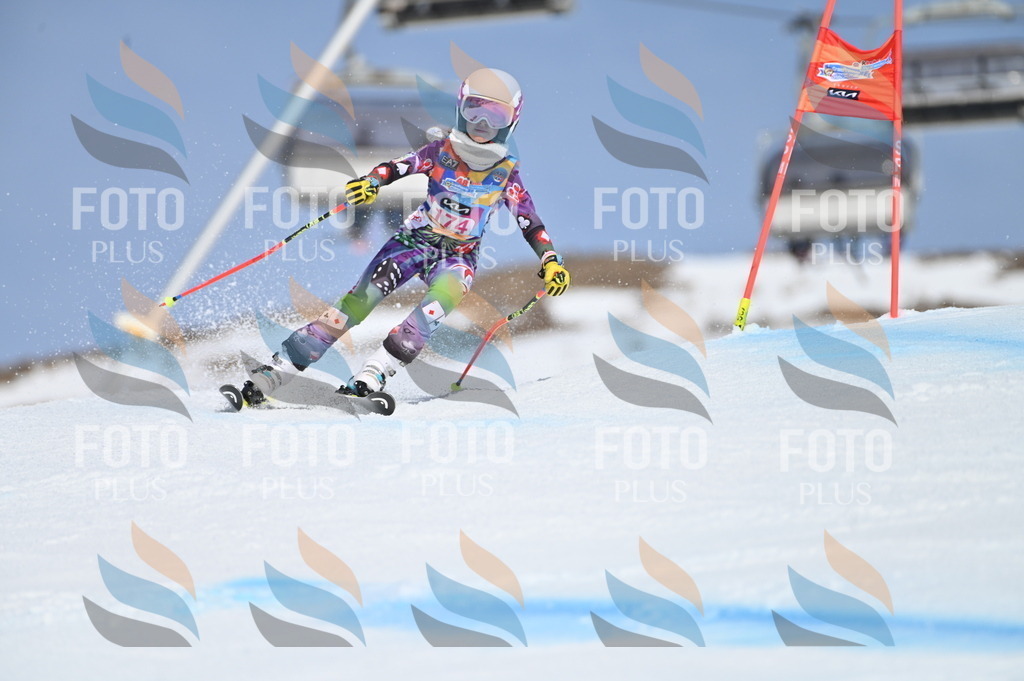 BGV_0499 | holidayphoto