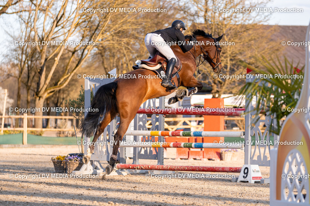 Kranichstein Tag 2-1069 | dv-media-shop - Realisiert mit Pictrs.com