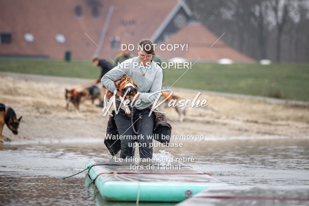 nelerasche_Hulsbeek_Sa1030-1100_462 | nelerasche
