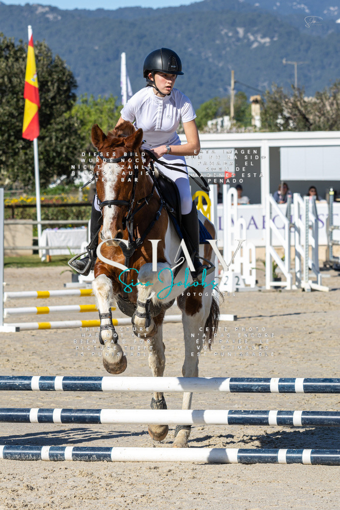 IMG_8382 | s-jay-photography - Realisiert mit Pictrs.com