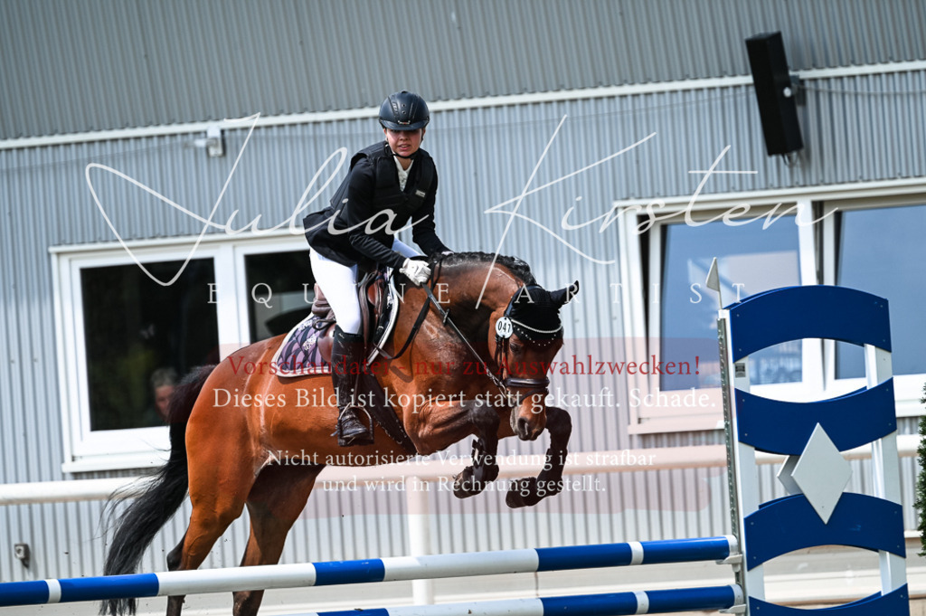 DSC_9482 | Pferde- und Turnierfotografie in Westsachsen. Pferdeportraits, Auftragszeichnungen und intuitive Kunst.